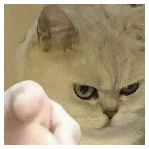 DƬ